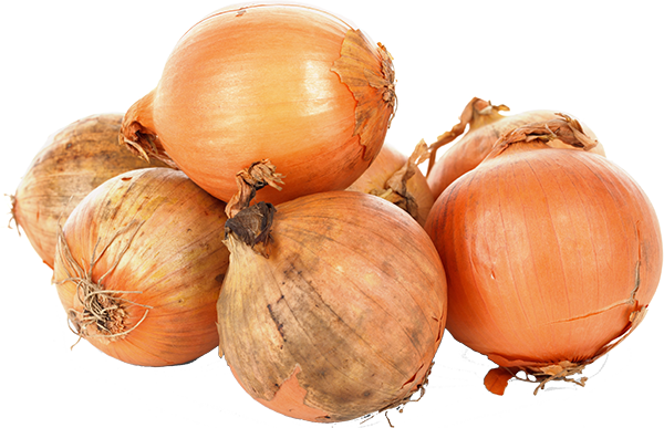 Onion